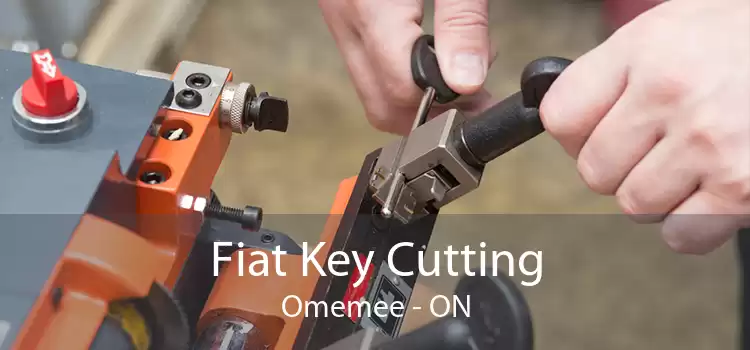 Fiat Key Cutting Omemee - ON
