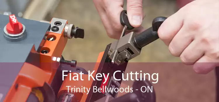 Fiat Key Cutting Trinity - Bellwoods - ON