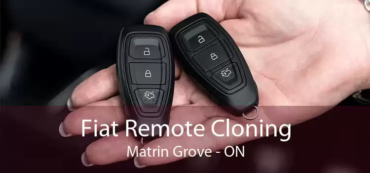 Fiat Remote Cloning Matrin Grove - ON