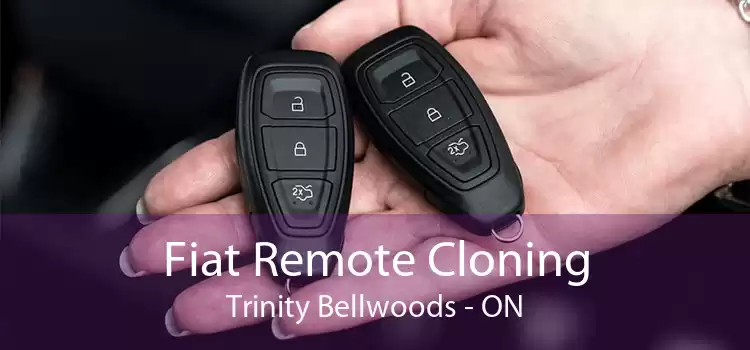 Fiat Remote Cloning Trinity - Bellwoods - ON