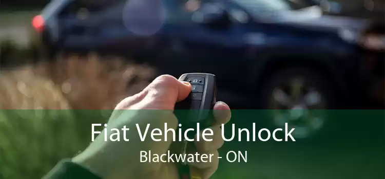 Fiat Vehicle Unlock Blackwater - ON