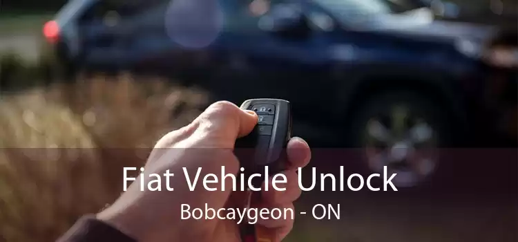 Fiat Vehicle Unlock Bobcaygeon - ON