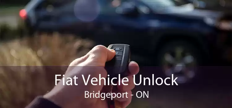 Fiat Vehicle Unlock Bridgeport - ON