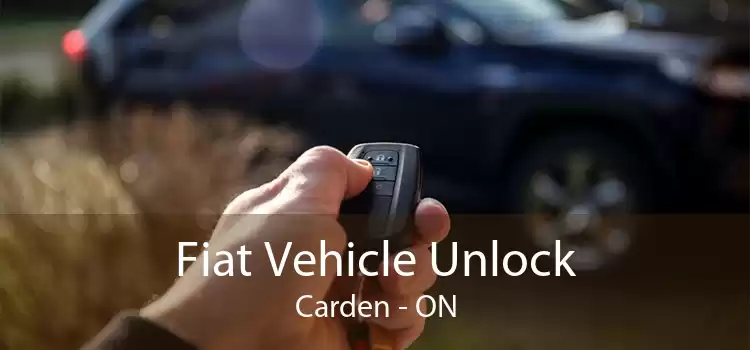 Fiat Vehicle Unlock Carden - ON