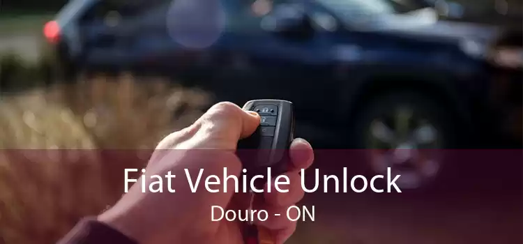Fiat Vehicle Unlock Douro - ON