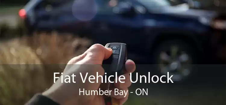 Fiat Vehicle Unlock Humber Bay - ON