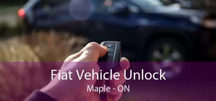 Fiat Vehicle Unlock Maple - ON