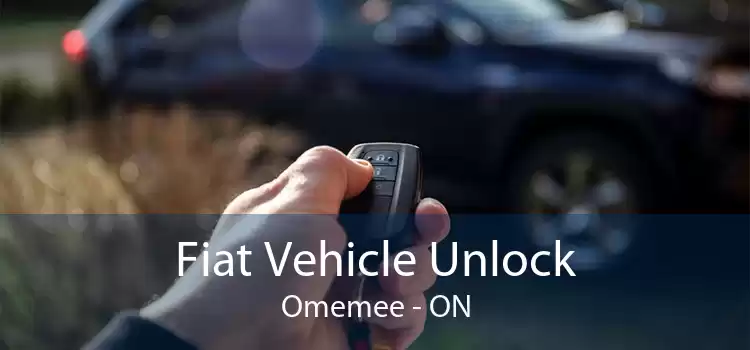 Fiat Vehicle Unlock Omemee - ON