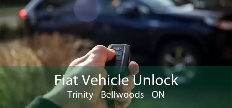 Fiat Vehicle Unlock Trinity - Bellwoods - ON