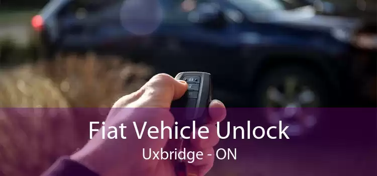 Fiat Vehicle Unlock Uxbridge - ON