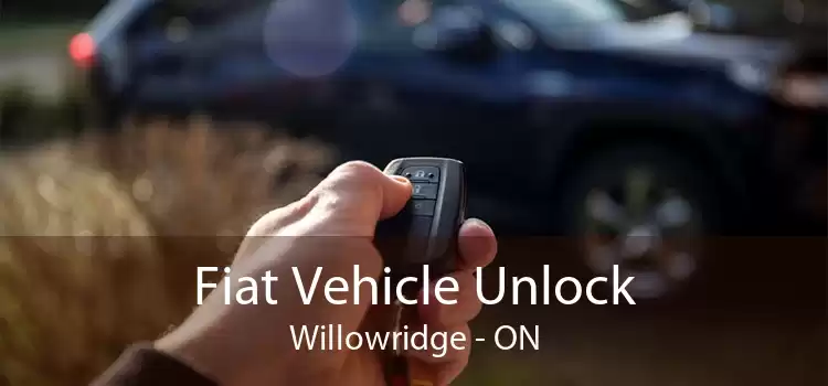 Fiat Vehicle Unlock Willowridge - ON