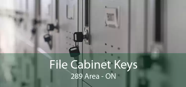 File Cabinet Keys 289 Area - ON