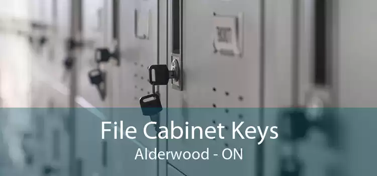 File Cabinet Keys Alderwood - ON