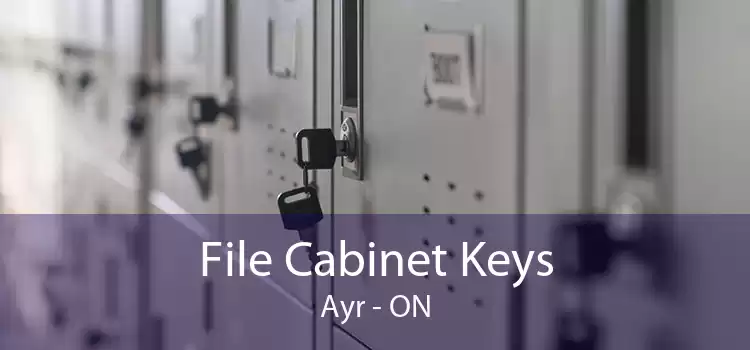 File Cabinet Keys Ayr - ON