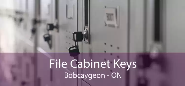 File Cabinet Keys Bobcaygeon - ON