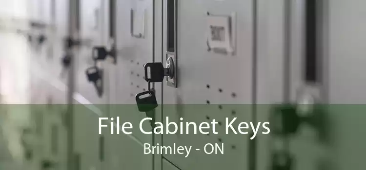 File Cabinet Keys Brimley - ON