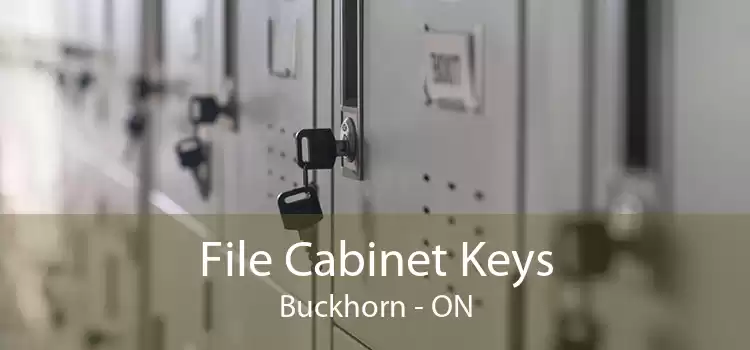 File Cabinet Keys Buckhorn - ON