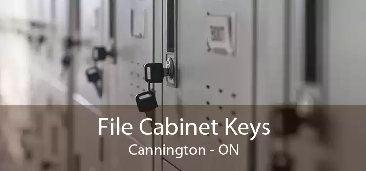 File Cabinet Keys Cannington - ON