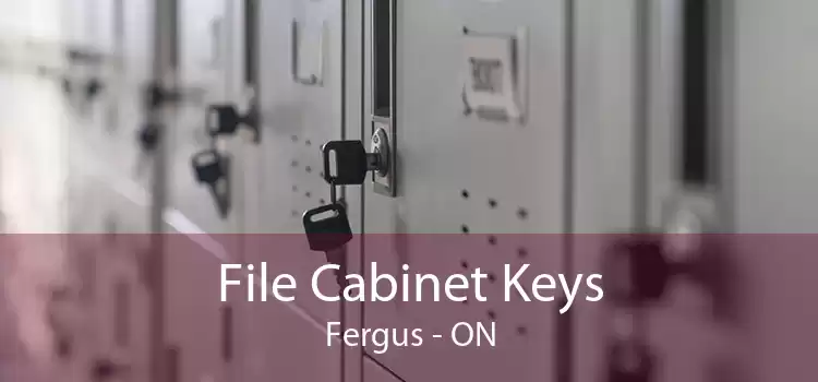 File Cabinet Keys Fergus - ON