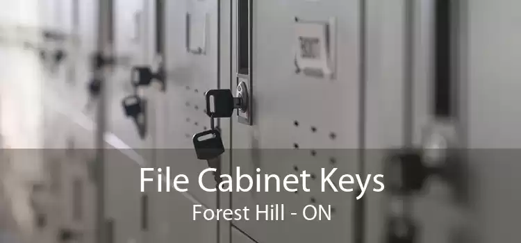 File Cabinet Keys Forest Hill - ON