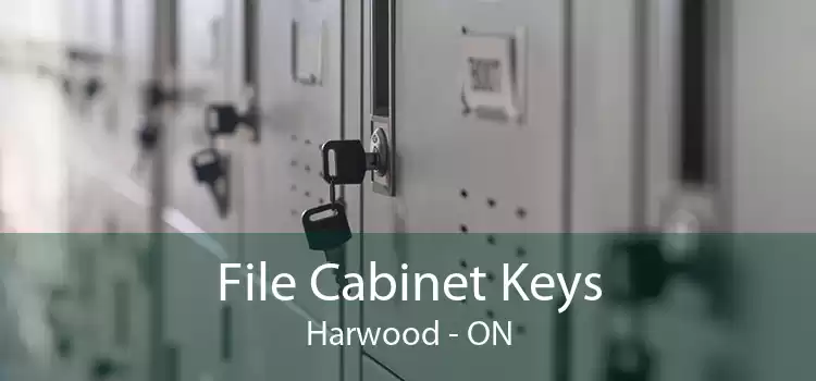 File Cabinet Keys Harwood - ON