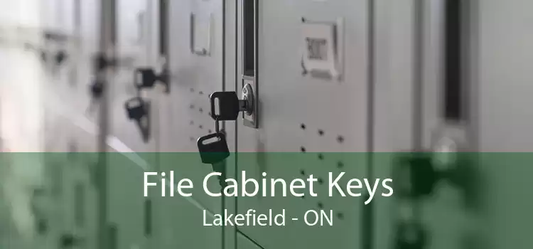 File Cabinet Keys Lakefield - ON