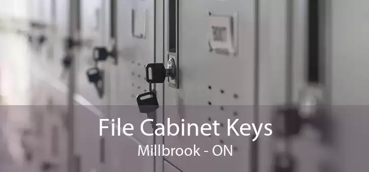 File Cabinet Keys Millbrook - ON