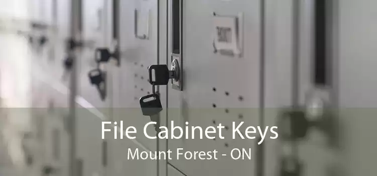 File Cabinet Keys Mount Forest - ON