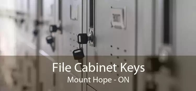 File Cabinet Keys Mount Hope - ON