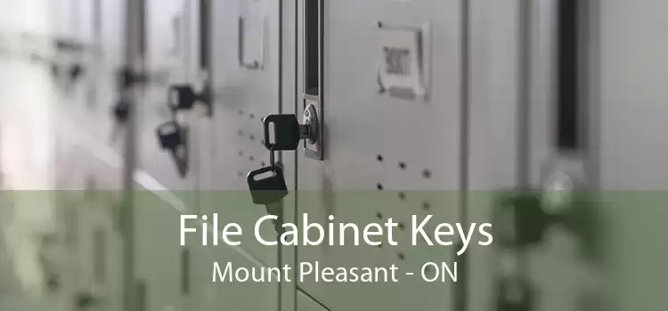 File Cabinet Keys Mount Pleasant - ON