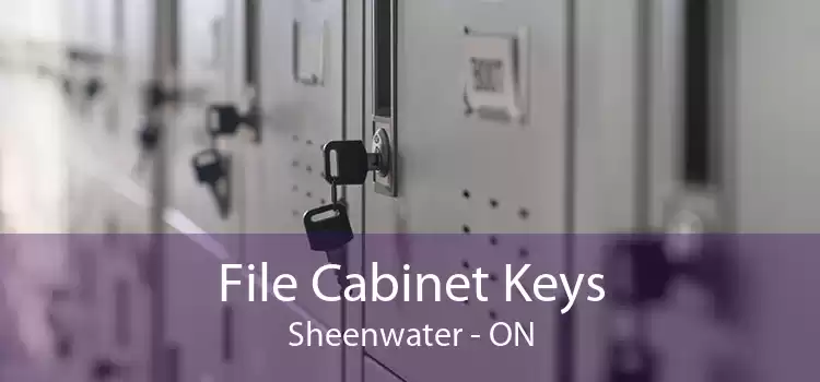 File Cabinet Keys Sheenwater - ON