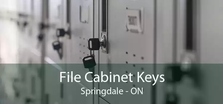 File Cabinet Keys Springdale - ON