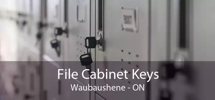 File Cabinet Keys Waubaushene - ON