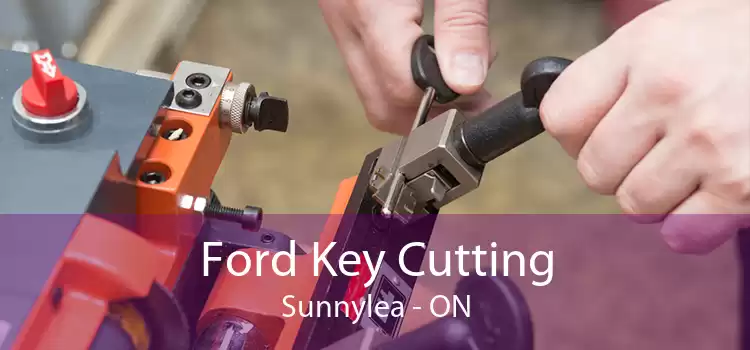 Ford Key Cutting Sunnylea - ON