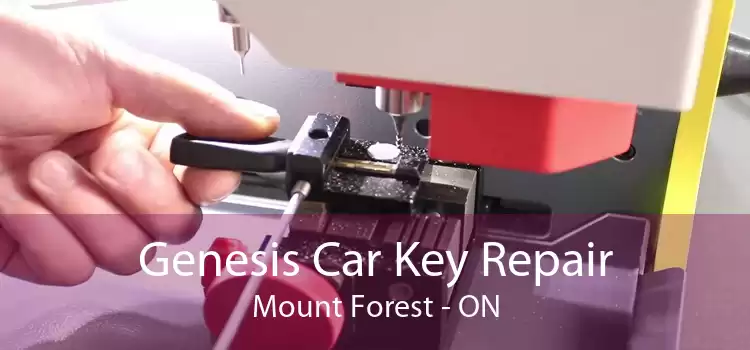 Genesis Car Key Repair Mount Forest - ON