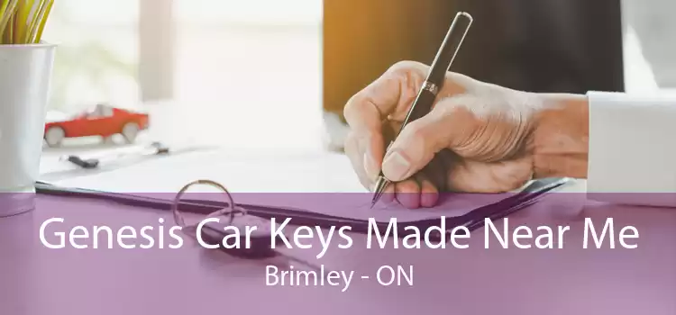 Genesis Car Keys Made Near Me Brimley - ON