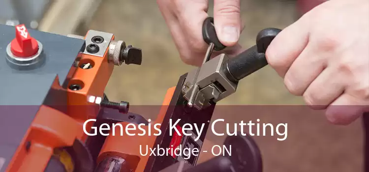 Genesis Key Cutting Uxbridge - ON