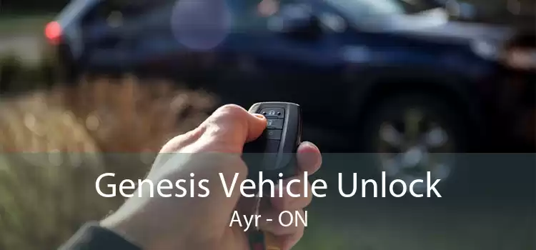 Genesis Vehicle Unlock Ayr - ON