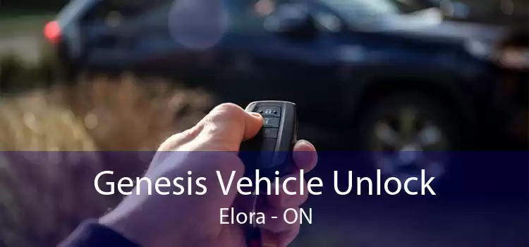 Genesis Vehicle Unlock Elora - ON