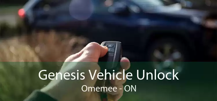 Genesis Vehicle Unlock Omemee - ON