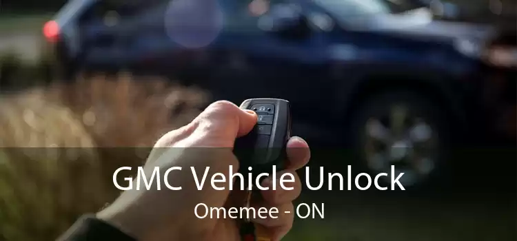 GMC Vehicle Unlock Omemee - ON