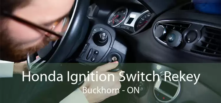 Honda Ignition Switch Rekey Buckhorn - ON