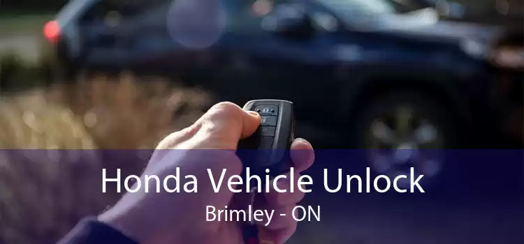 Honda Vehicle Unlock Brimley - ON