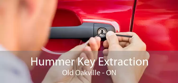 Hummer Key Extraction Old Oakville - ON