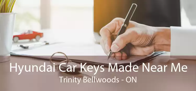 Hyundai Car Keys Made Near Me Trinity - Bellwoods - ON