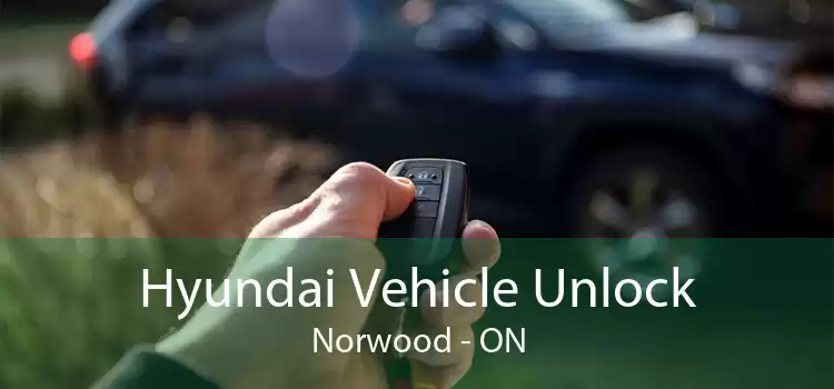 Hyundai Vehicle Unlock Norwood - ON