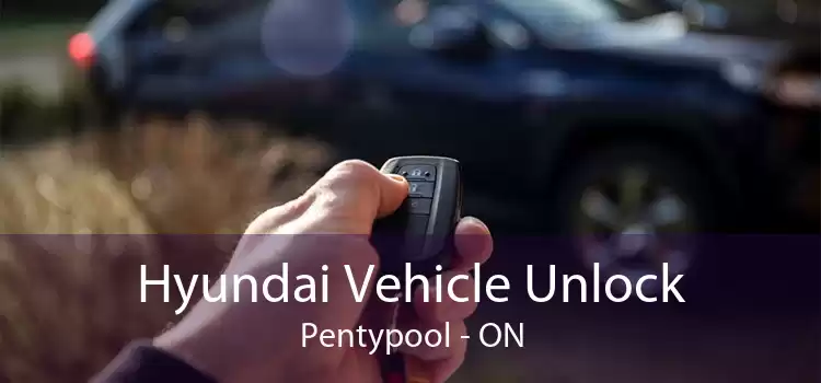 Hyundai Vehicle Unlock Pentypool - ON