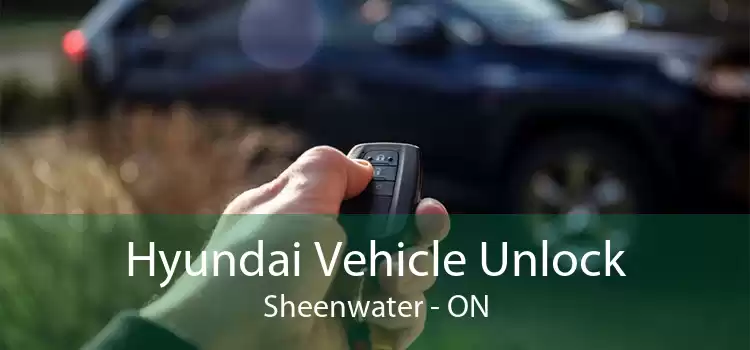 Hyundai Vehicle Unlock Sheenwater - ON