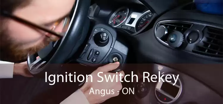 Ignition Switch Rekey Angus - ON