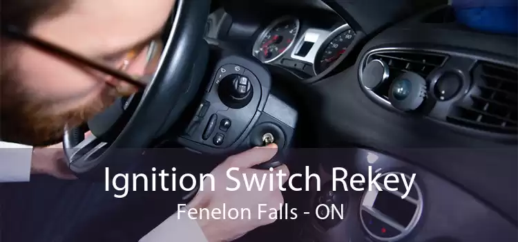Ignition Switch Rekey Fenelon Falls - ON